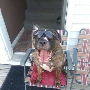 Meet your Posher, Glenda